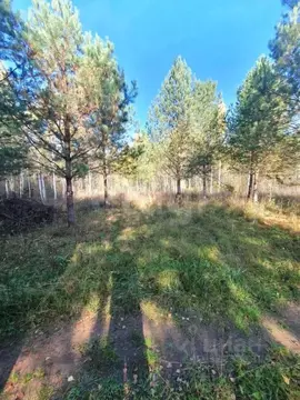 Участок в Кировская область, Кирово-Чепецкий район, Федяковское с/пос, ...