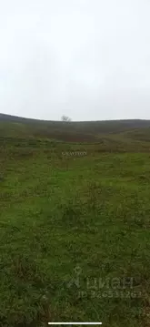 Участок в Алтай, Майминский район, пос. Алферово Центральная ул., 31А ...