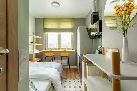 1-к кв. Москва Березовая аллея, 19к6 (12.0 м)