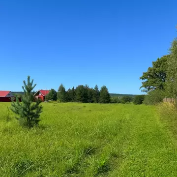 Участок в Московская область, Серпухов городской округ, д. Клейменово ...