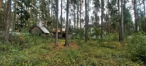 Участок в Санкт-Петербург, Санкт-Петербург, Зеленогорск Кривоносовский ...