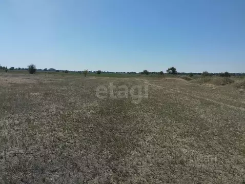 Участок в Волгоградская область, Среднеахтубинский район, Фрунзенское ...