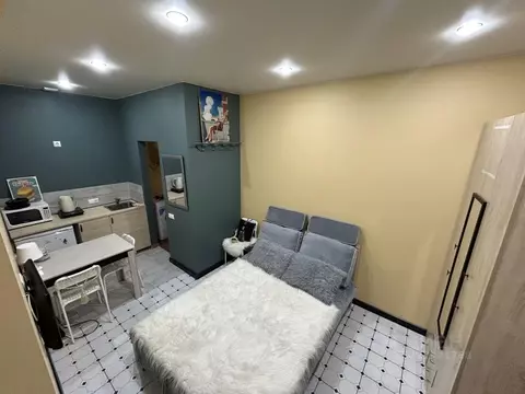 Студия Санкт-Петербург Гатчинская ул., 1/56 (24.0 м)