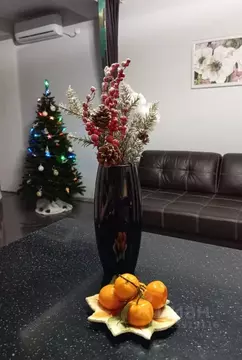 2-к кв. Севастополь ул. Челюскинцев, 49/4 (50.0 м)