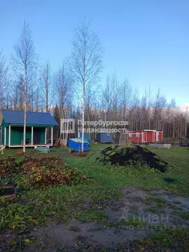 Участок в Ленинградская область, Кировский район, Мгинское городское ...