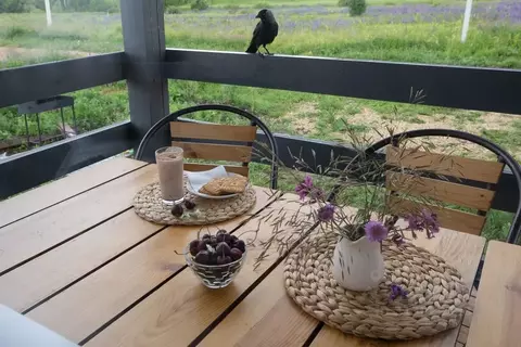 Дом в Нижегородская область, Дивеевский муниципальный округ, д. Маевка ...