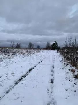 Участок в Калужская область, Калуга проезд 1-й Секиотовский (8.0 сот.)