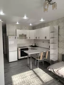 Студия Московская область, Балашиха ул. Лукино, 53А (23.4 м)