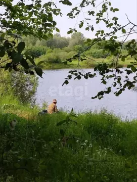 Участок в Пермский край, Пермь Ласьва-1 СНТ,  (17.0 сот.)