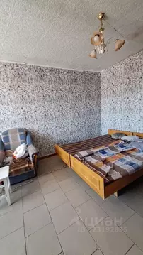 Комната Башкортостан, Кумертау ул. 60 лет БАССР, 5 (31.0 м)