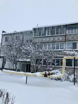 1-к кв. Нижегородская область, Богородский муниципальный округ, д. ...