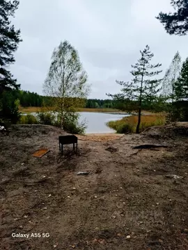 Участок в Марий Эл, Медведевский район, Сидоровское с/пос, Березка ...