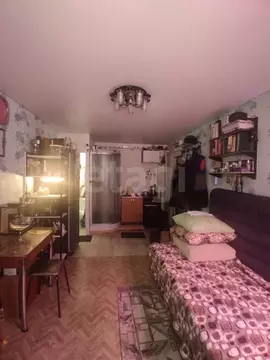 Студия Башкортостан, Бирск Пролетарская ул., 138А (16.2 м)