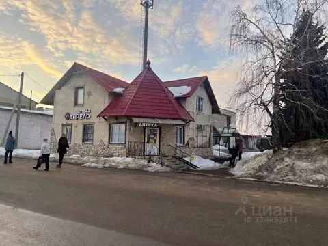 Торговая площадь в Саратовская область, Новые Бурасы рп ул. Почтовая, ...