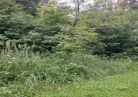Участок в Московская область, Лосино-Петровский городской округ, д. ...
