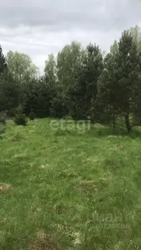 Участок в Калужская область, Малоярославецкий муниципальный округ, ...