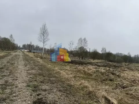 Участок в Тульская область, Тула городской округ, с. Алешня  (12.0 ...