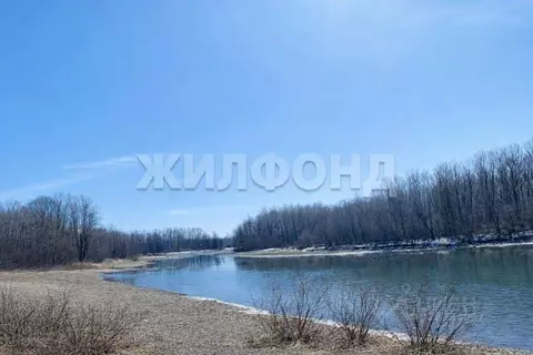 Участок в Алтайский край, Бийский район, с. Сростки Береговая ул. ...