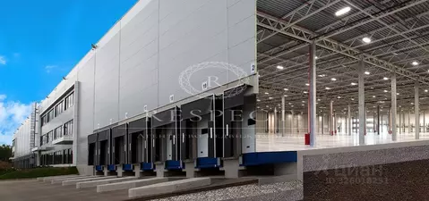 Склад в Московская область, Пушкино Ярославское ш., 16 (10000 м)