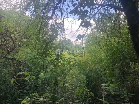 Дом в Воронежская область, Воронеж Дружба СНТ,  (51 м)