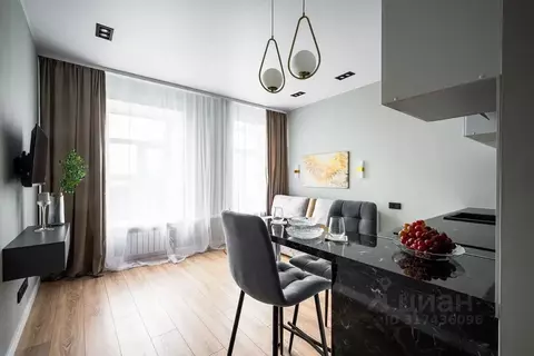 Студия Санкт-Петербург ул. Шкапина, 22 (25.0 м)