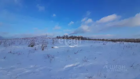 Участок в Свердловская область, Горноуральский муниципальный округ, с. ...