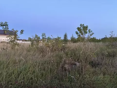 Участок в Тамбовская область, пос. Первомайский, Майский мкр  (10.0 ...