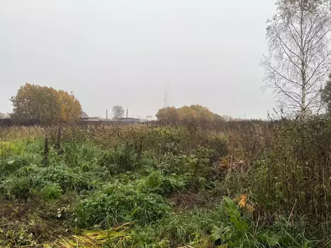 Участок в Московская область, Можайский муниципальный округ, д. ...