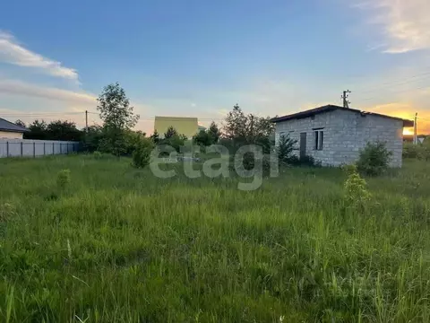 Участок в Белгородская область, Белгородский муниципальный округ, с. ...