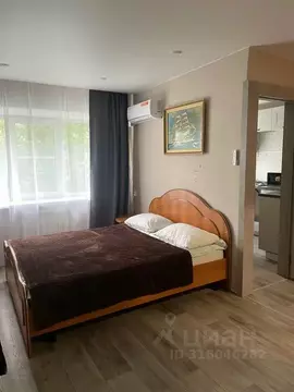 1-к кв. Новосибирская область, Обь ул. ЖКО Аэропорта, 15 (33.0 м)