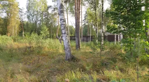 Участок в деревня Матокса, Окружная улица (10.84 м)