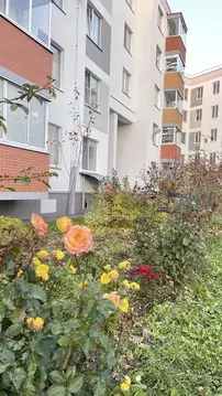 3-к кв. Санкт-Петербург, Санкт-Петербург, Петергоф ул. Парковая, 20к2 ...