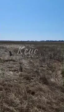 Участок в Крым, Ленинский район, Батальненское с/пос, Нептун СНТ  (6.5 ...