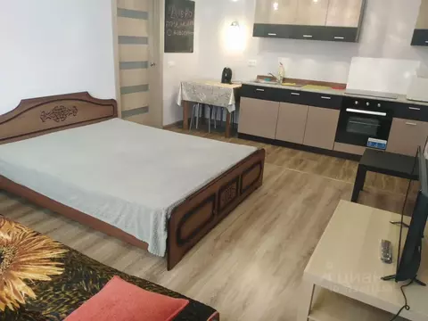 Студия Тюменская область, Тюмень ул. Ю.-Р.Г. Эрвье, 32к1 (30.5 м)