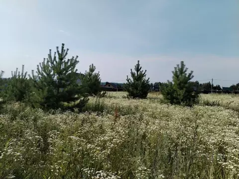 Участок в Владимирская область, Собинский муниципальный округ, д. ...