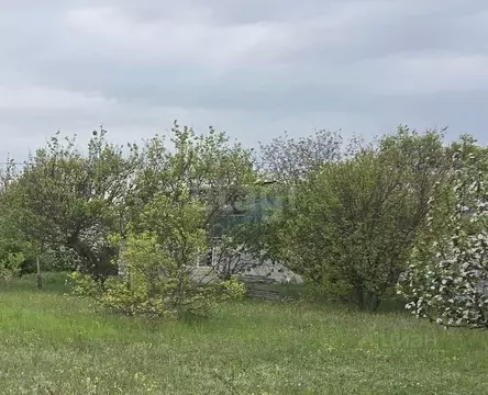 Участок в Крым, Симферопольский район, Трудовское с/пос, Экспресс СНТ  ...
