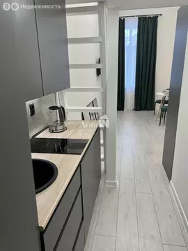 Квартира-студия: Санкт-Петербург, Садовая улица, 32/1 (20 м)