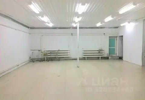 Помещение свободного назначения в Ямало-Ненецкий АО, Новый Уренгой ...