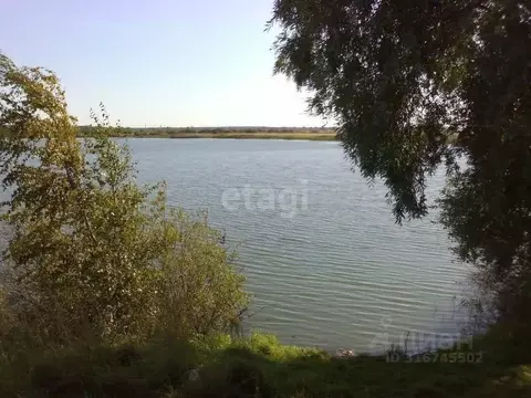 Участок в Ярославская область, Некрасовский муниципальный округ, ...