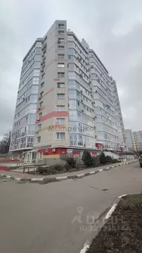 Студия Белгородская область, Белгород ул. Горького, 54Б (45.0 м)