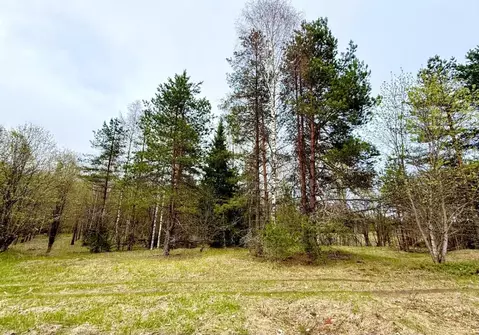 Участок в Новгородская область, Валдайский район, Рощинское с/пос, д. ...