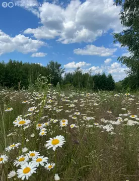Участок в городской округ Нижний Новгород, Кстово (122.59 м)