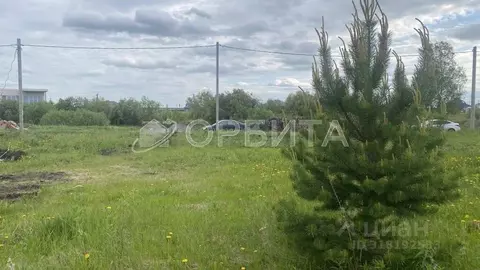 Участок в Тюменская область, Тюменский район, д. Елань  (7.96 сот.)