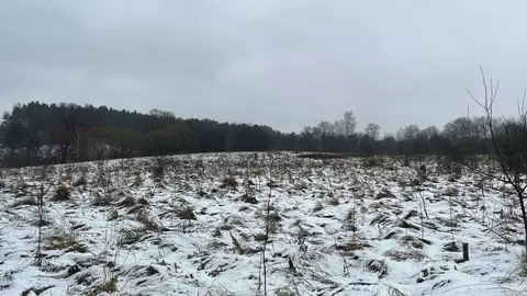 Участок в Московская область, Ступино городской округ, д. Шелково ул. ...