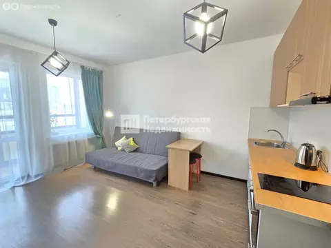 Квартира-студия: Санкт-Петербург, улица Лётчика Лихолетова, 14к2 (24.1 ...