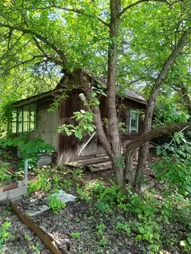 Участок в Амурская область, Благовещенск Амуравтотранс садовое ...