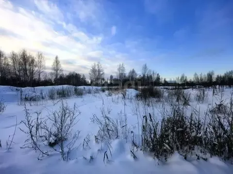 Участок в Тюменская область, Нижнетавдинский муниципальный округ, ...