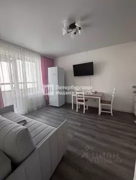 1-к кв. Санкт-Петербург ул. Струве, 12к1 (33.0 м)