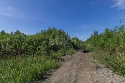 Участок в Тюменская область, Тюмень Большое Царево-1 СНТ,  (9.6 сот.)