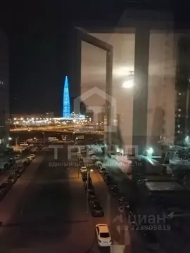 1-к кв. Санкт-Петербург Туристская ул., 11к2 (41.1 м)